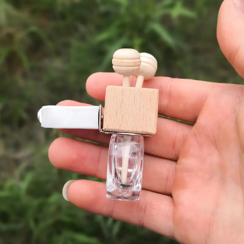Elegant Car Fragrance Clip Diffuser