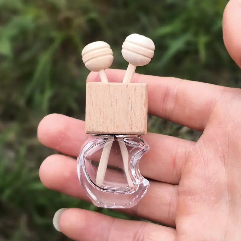 Elegant Car Fragrance Clip Diffuser