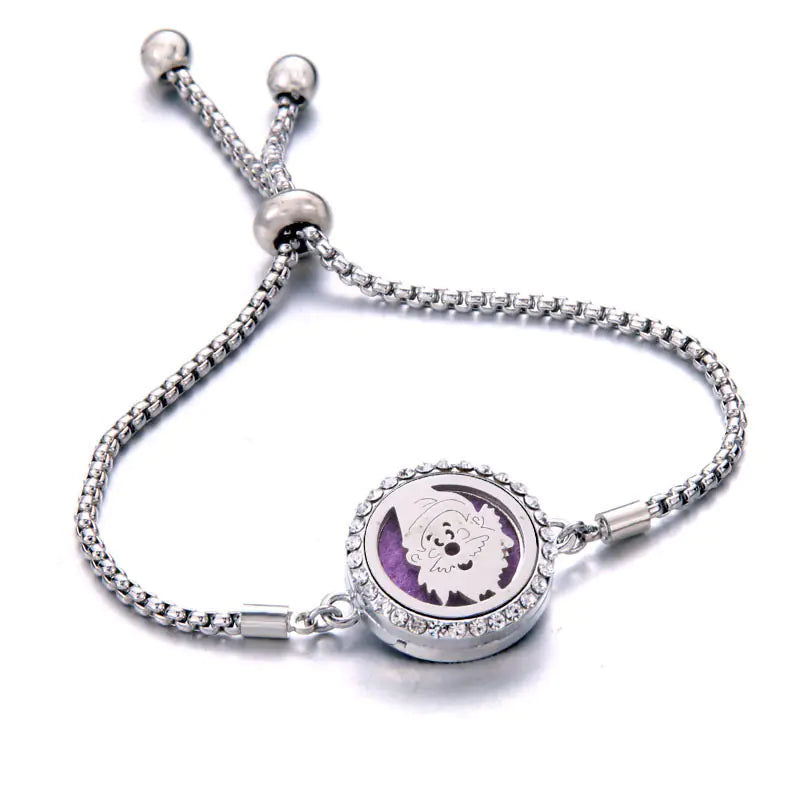 Titanium Steel Essential Oil Aromatherapy Bracelet