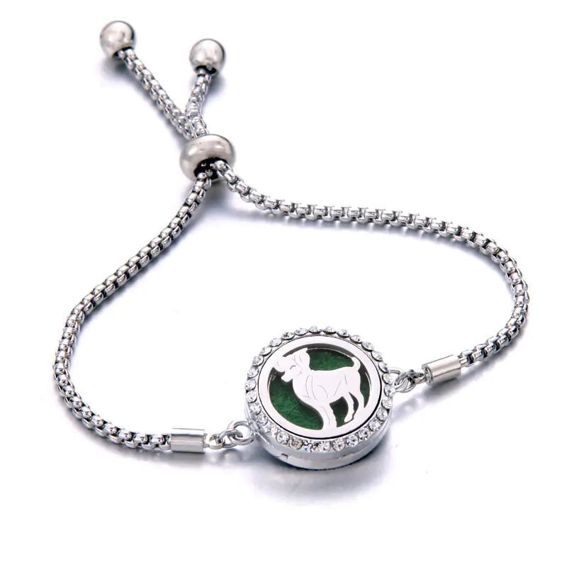 Titanium Steel Essential Oil Aromatherapy Bracelet